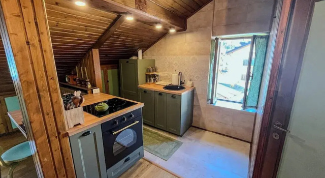 Renovated Mountain View Apartment