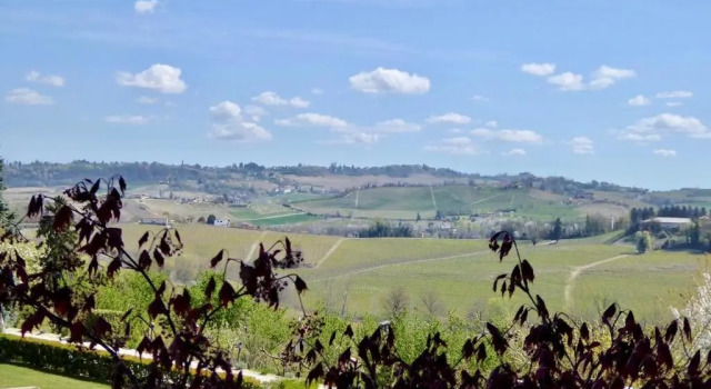 Апартаменты c 1 комнатой Agriturismo bottega di Rosanna