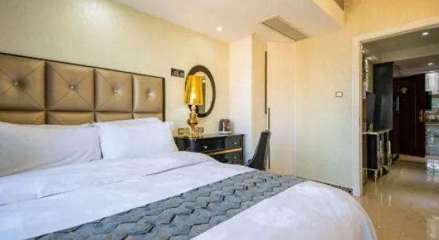 Люкс Welsh International Apartment(Shenzhen Futian Theater)