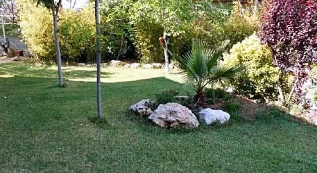 Naturparadis