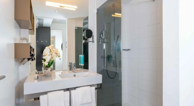 Двухместный номер Standard PLAZA INN Graz Messe