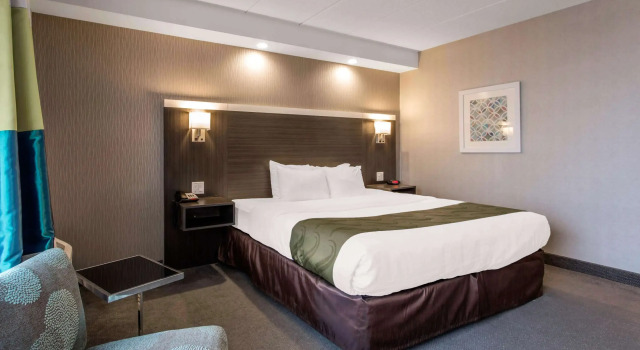Двухместный номер Standard Quality Inn West Springfield