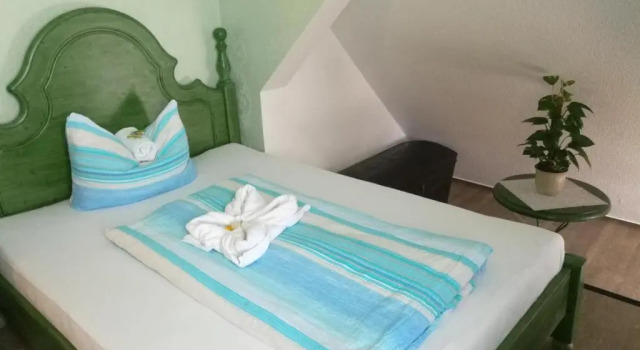 Одноместный номер Standard Hotel Villa Alice
