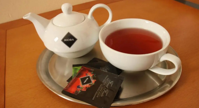 Номер Standard Hotel Slovan