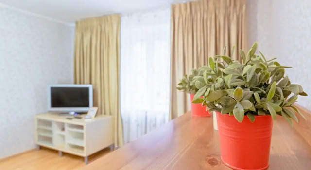 FlatStar on Perekupnoy 8, Book Hotel Tsentralny district Sankt Petersborg