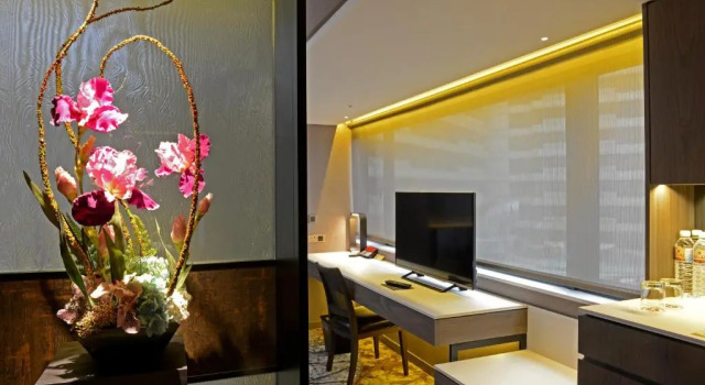 Одноместный номер Deluxe Brother Hotel
