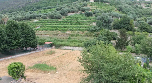 La Giara