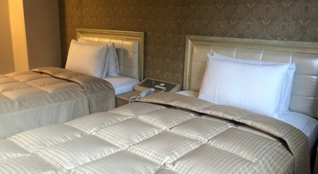 Deluxe Twin room Doitsu Hotel