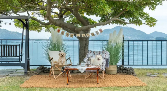 Namhae sea Stay N pet Pension, จอง โรงแรม นัมแฮ คยองซังนัมโด