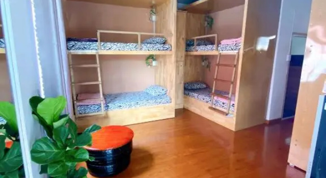 Кровать в общем номере Suris House Homestay