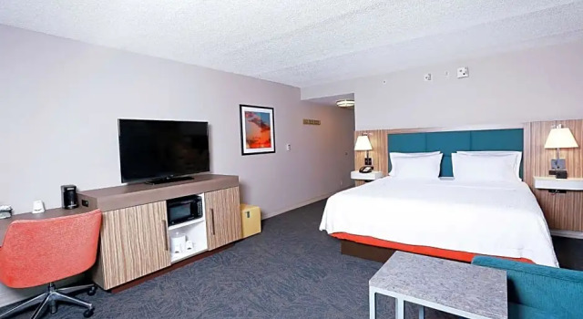 Номер Deluxe Hampton Inn & Suites Tampa-Wesley Chapel