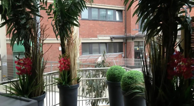 Полулюкс High Level Apartment