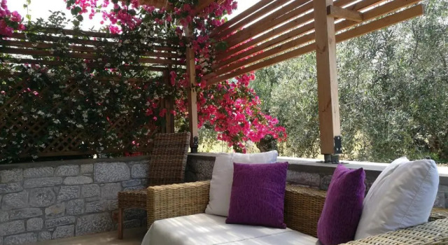 Бунгало Cardamilia Suites