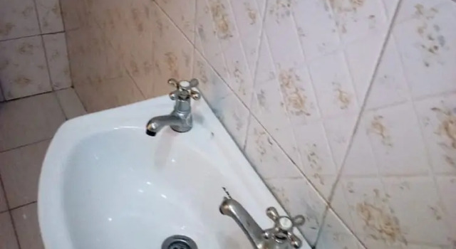 Номер Standard Jax Safari Hotel