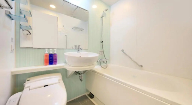 Двухместный номер Richmond Hotel Namba Daikokucho