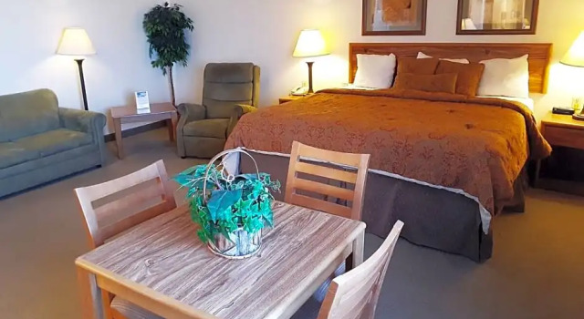 Premium Zimmer Single Tree Inn