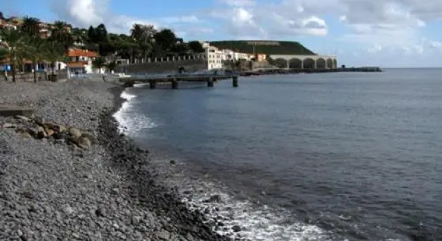 The Pallet - Guest House, Prenota Affittacamere Hotel economici a Arcipelago di Madeira
