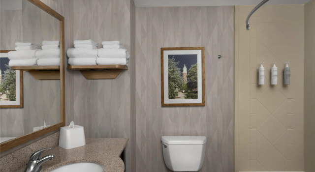 Номер Standard Hampton Inn & Suites Huntersville