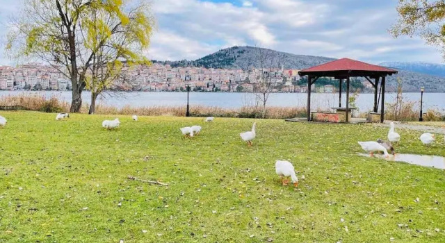 Апартаменты Lida'S Apartment Lake View