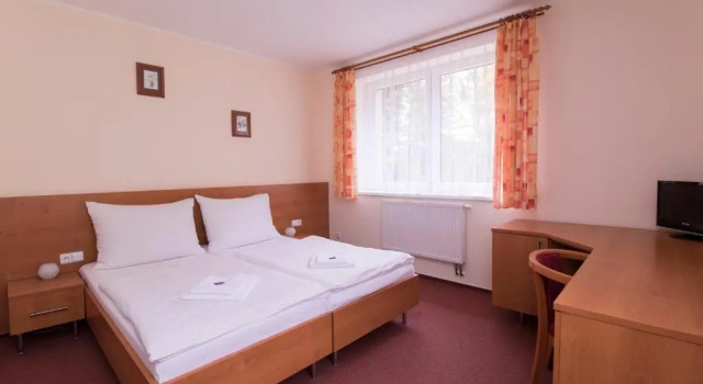 Двухместный номер Standard Hotel České Žleby