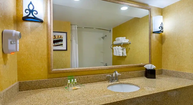 Двухместный номер Executive Holiday Inn Baltimore BWI Airport by IHG
