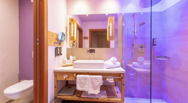 Двухместный номер Standard с балконом Natur- und Wellnesshotel Höflehner