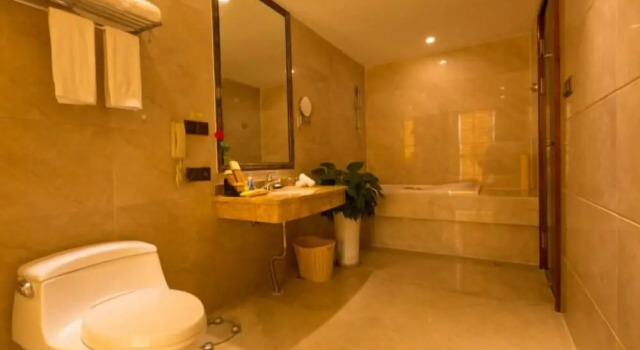 Двухместный номер Deluxe Chengdu Gaoyi Hotel