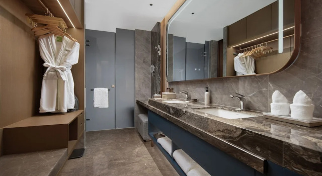 Номер Business Wyndham Garden Urumqi Innovation Square