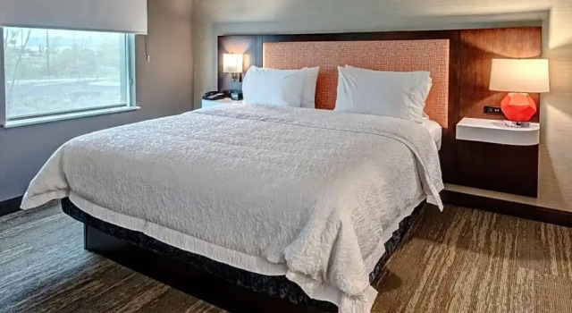 Одноместный люкс Hampton Inn & Suites Culpeper