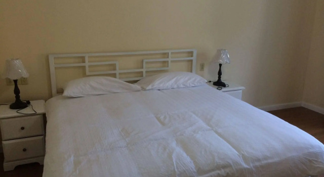 Three Finger Jack Hotel, Book Hotel Hotels in Saint Thomas with a Pool, Swimming Pool