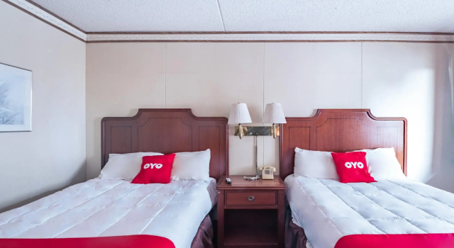 Двухместный номер Standard OYO Hotel Windmill Branson