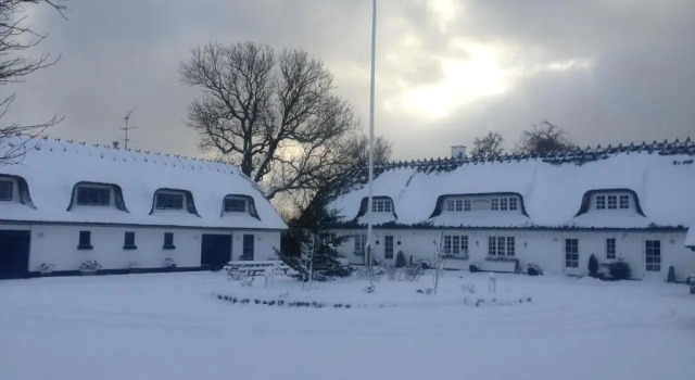Lejlighed Rane Ladegaard