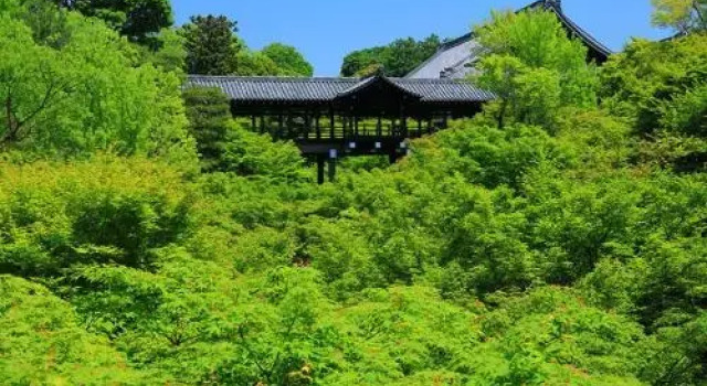 櫛笥ノ家 Machiya Kushige, Book Hotel Ōta Kyoto