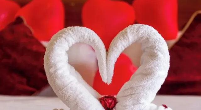 Полулюкс с балконом Nagarkot Shangrila Resort