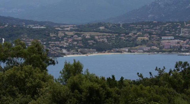 Carestella