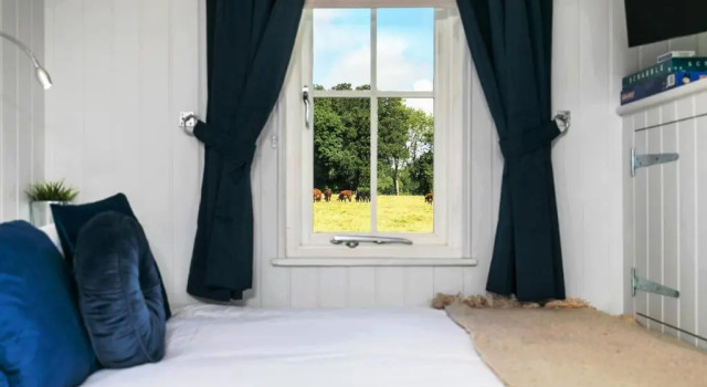 Jabba, The Hut, Boek Camping Campings & glamping in Hampshire, Camping