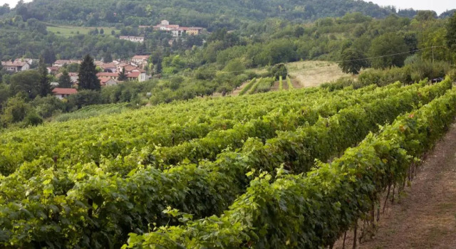 Agriturismo Ca San Sebastiano Wine Resort & Spa