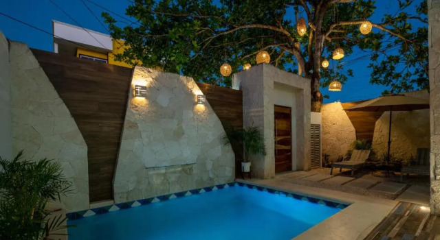 Студия Casa del Arbol