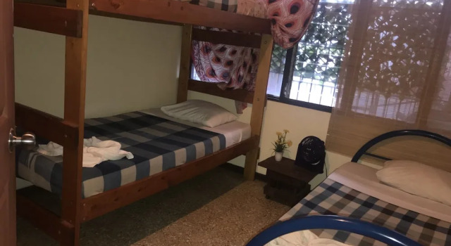 Номер Standard In the Wind Hostel and Guesthouse