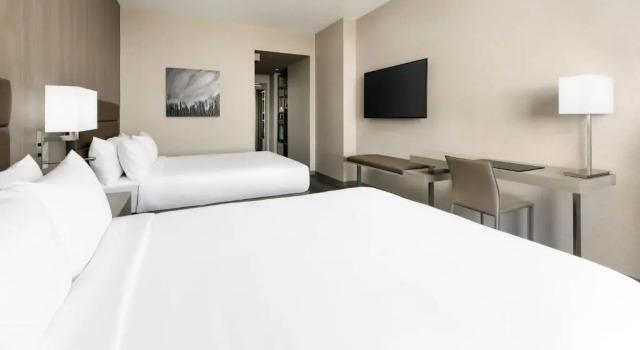 Четырёхместный номер Standard AC Hotel by Marriott Bethesda Downtown