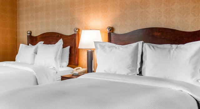 Четырёхместный номер Standard The Woodlands Inn