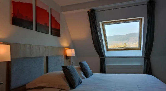 Двухместный номер Deluxe Hotel Colmar Vignes Eguisheim