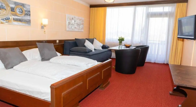 Одноместный номер Standard Hotel Berghof Graml