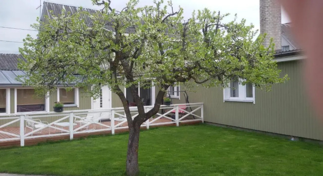 Номер Standard Ovelia B&B