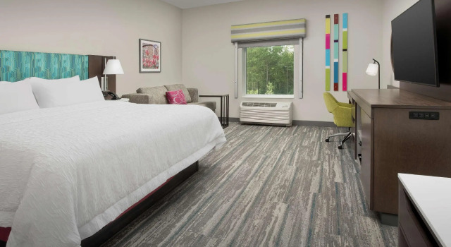 Двухместный номер Standard Hampton Inn & Suites Charlotte Airport Lake Pointe