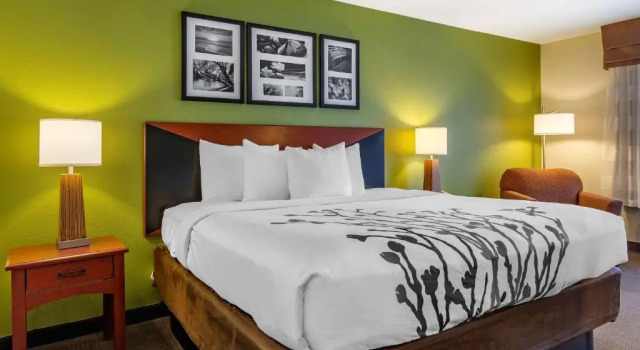 Номер Standard Sleep Inn & Suites Stockbridge Atlanta South