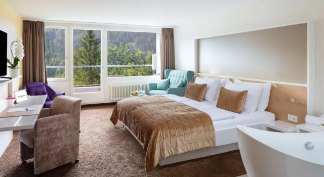 Двухместный номер Deluxe с балконом Hotel Waldegg