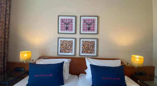 Двухместный номер Standard Harz Hotel & Spa Seela