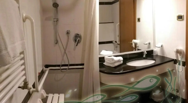 Двухместный номер Standard Hotel Meeting