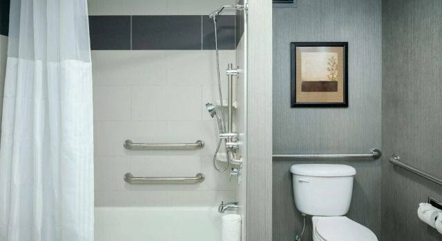 Двухместный номер Standard Hilton Suites Brentwood